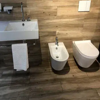 wall_hung_toilet 2-9000556-59106.webp